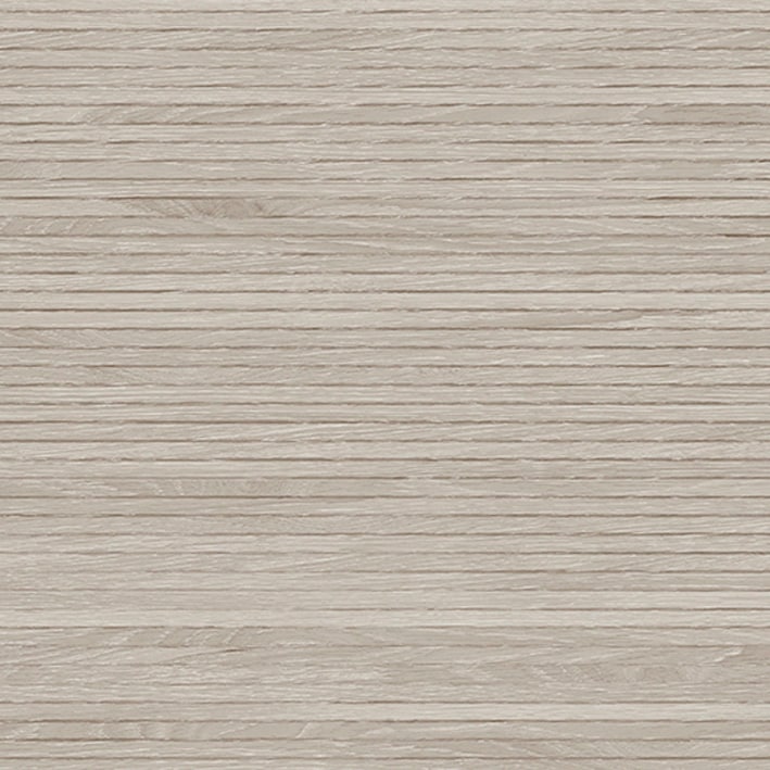 ICE MINNESOTA ASH 
