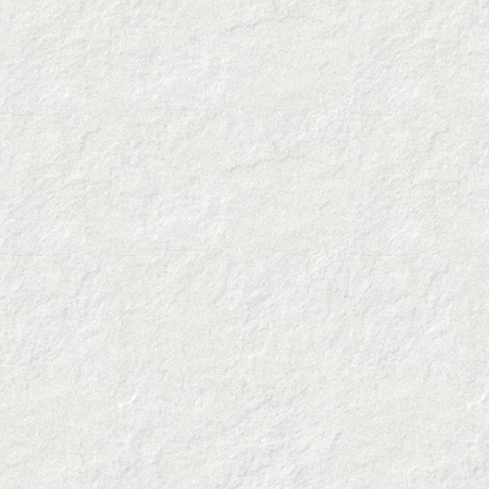 NIEVE 