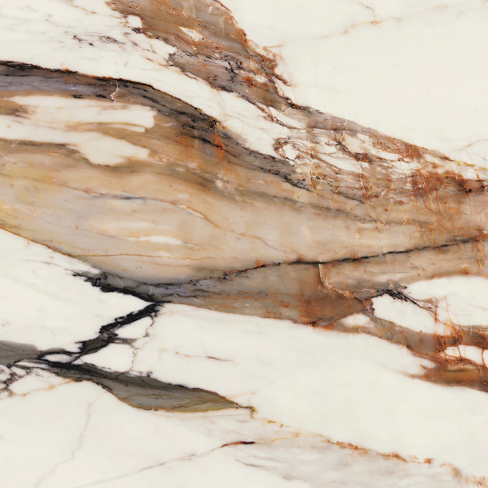 PAONAZZO BIONDO POLISHED A