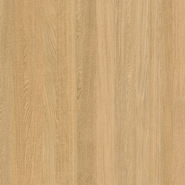 CADORE ARCE 