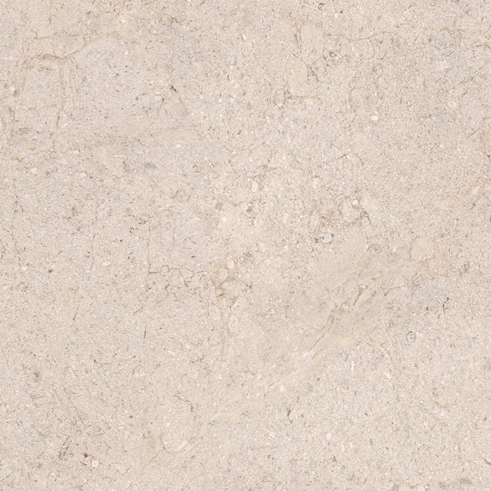 Dorcia Bone L