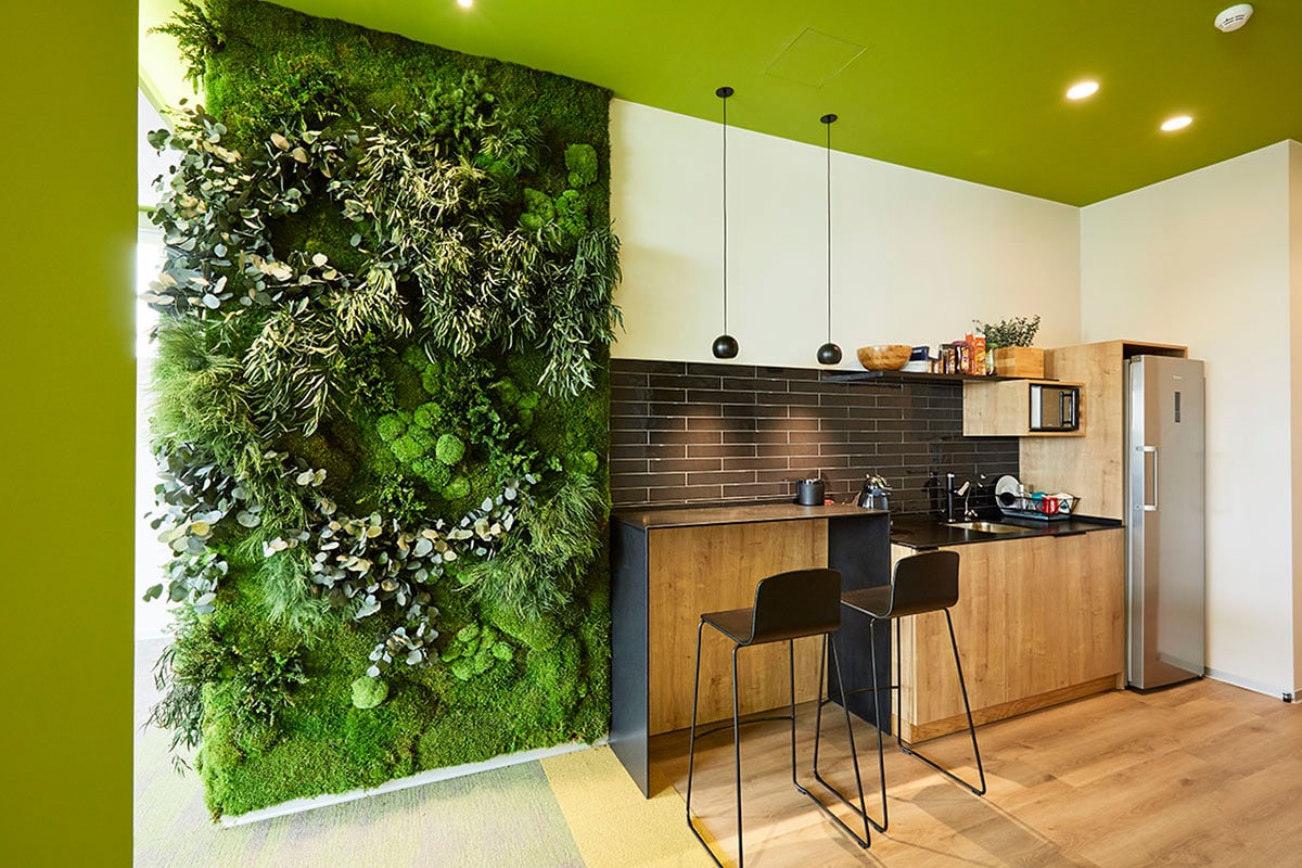 how-build-green-wall