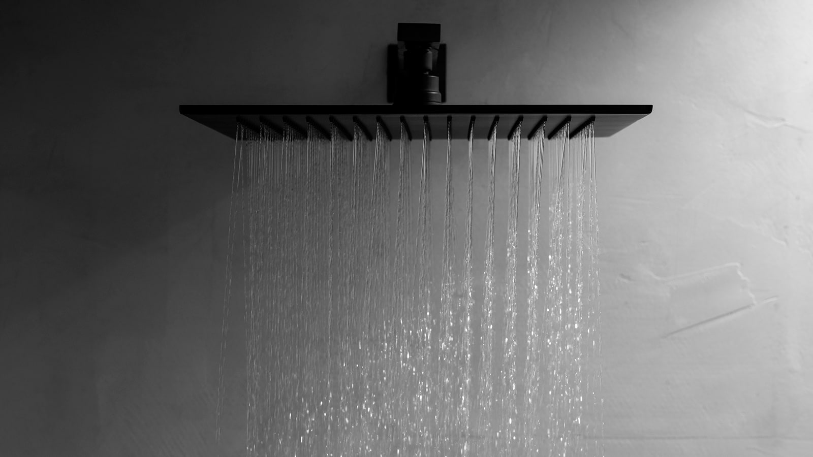 WaterForest, l'engagement durable de Noken qui permet d'économiser jusqu'à  89 % d'eau. - PORCELANOSA TrendBook