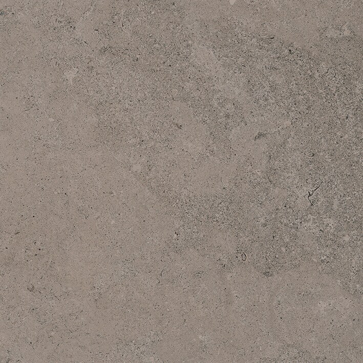BERNA TOPO 59.6X59.6 (A)