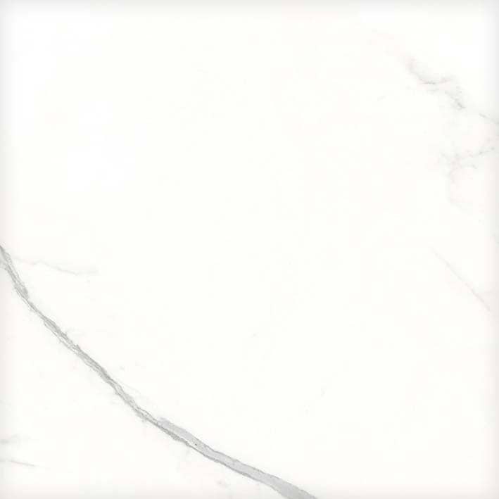 aria-white-nature